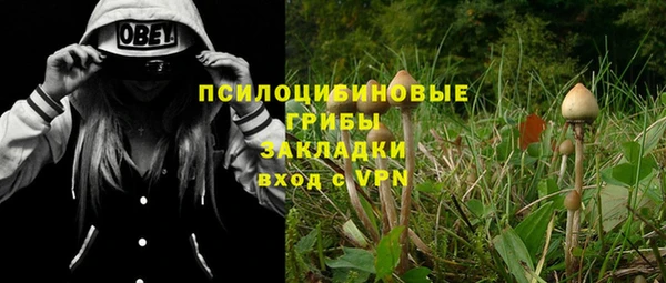 кокаин Ельня