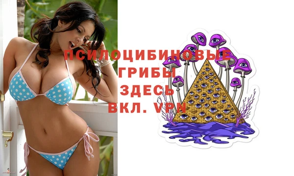 таблы Елабуга