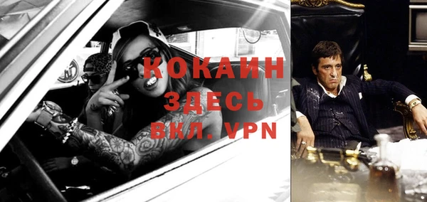 мдпв Елизово